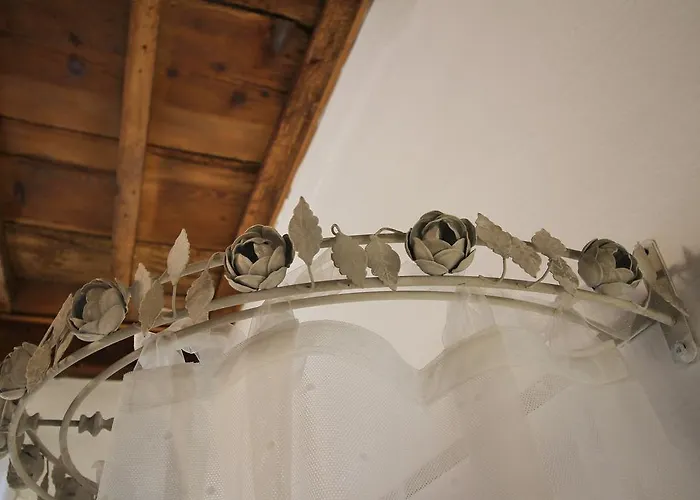 La Butterfly Guest *