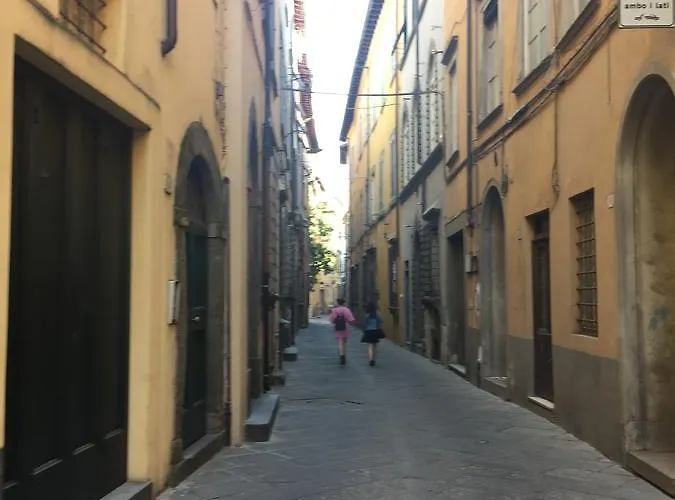 La Butterfly Guest * 卢卡